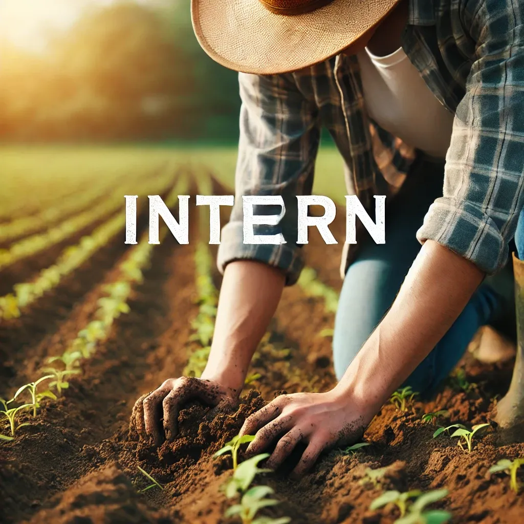 인턴농부