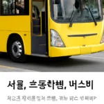 초등학생 버스비 서울