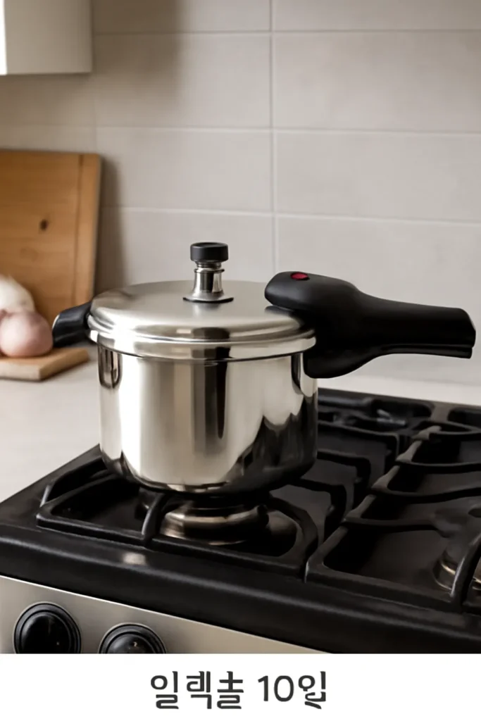 압력솥 10인용 용량