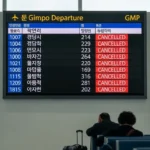 김포공항 결항