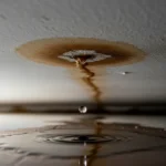 임대인배상책임보험 누수 보상