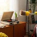 Music to Clean the House to