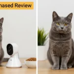 급식 관리 반려동물 홈캠 내돈내산 후기