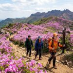 비슬산군립공원