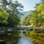 청산리 벽계수야