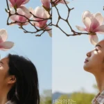 목련꽃 그늘 아래서