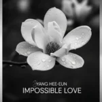 양희은 신곡집 / 이루어질 수 없는 사랑 / 하얀 목련 / 찬비 / 봄비