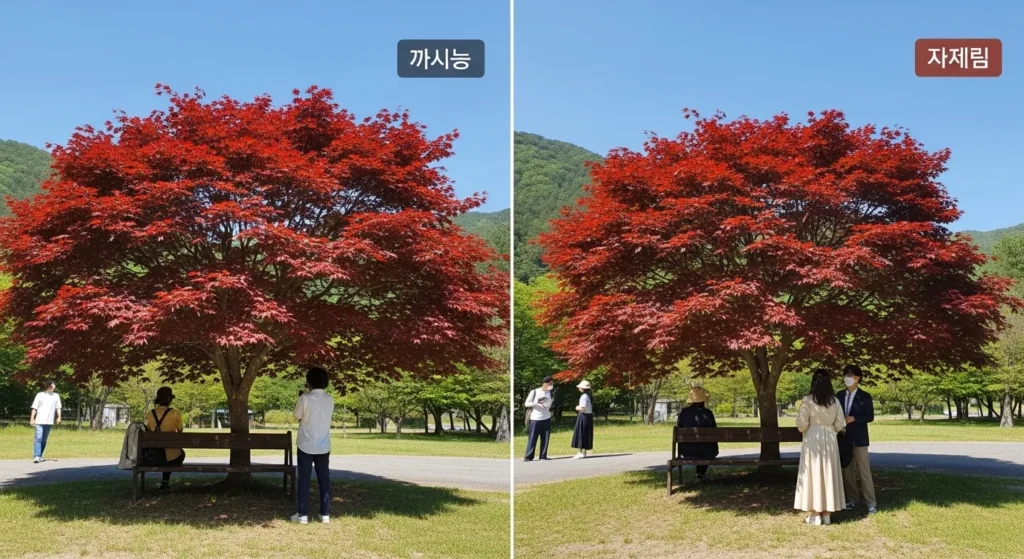 돌단풍