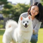 제페니스 스피츠