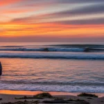 물의 상태 변화